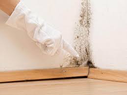 Best Water Damage & Mold Remediation  in Galena, KS